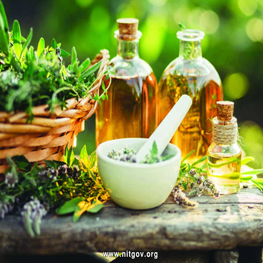 Diploma in Naturopathy (N.D.)